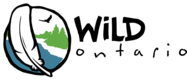 wildontario